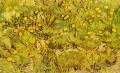 ein Feld der Gelbe Blumen Vincent van Gogh